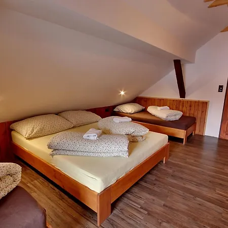 Chlum Misa Lodge *