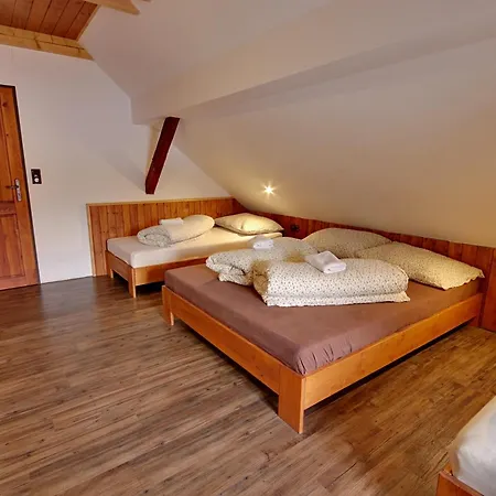 Chlum Misa Lodge Volary