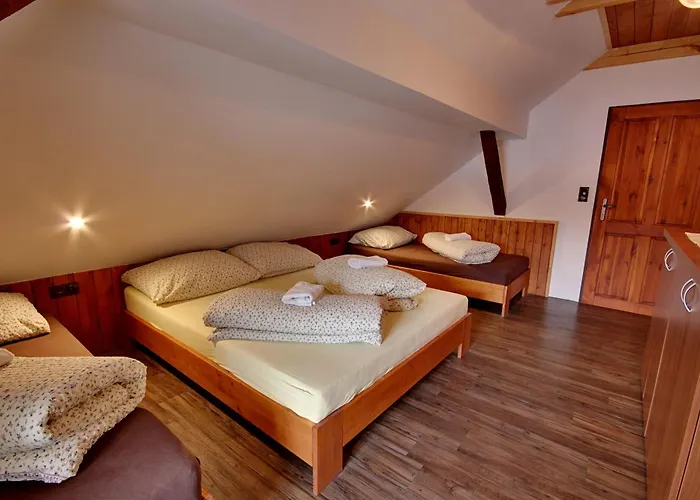 Chlum Misa Lodge *