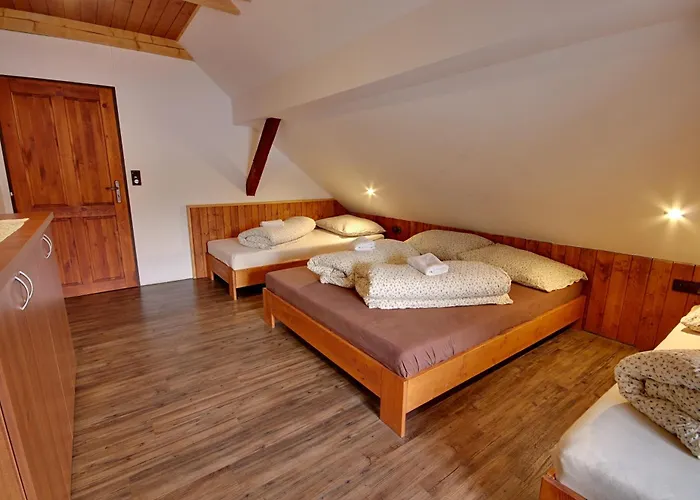 Chlum Misa Lodge Volary
